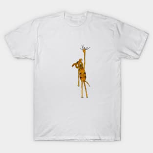 Cat hanging on T-Shirt